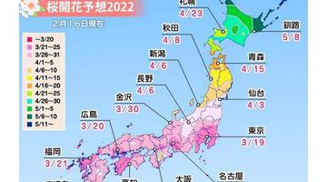 日本看樱花的10个最佳地点【日本欣赏樱花地点】