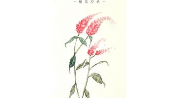 朝花夕拾批注【朝花夕拾批注筆記】