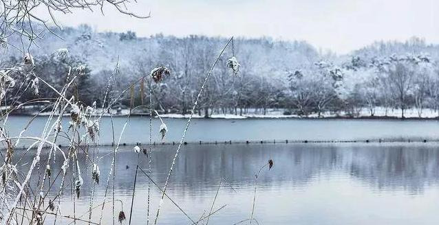 春节是几九第几天了【春节是几九第几天了2022】
