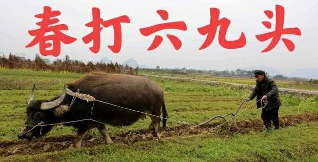 春节是几九第几天了【春节是几九第几天了2022】