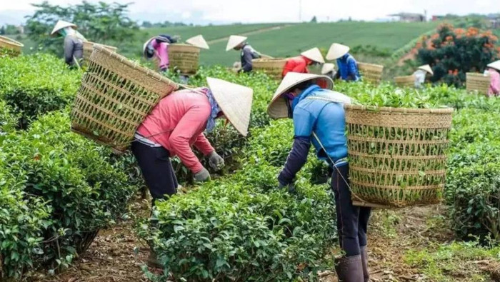 春节打工哪里工资高【春节期间干什么工作能多挣钱】