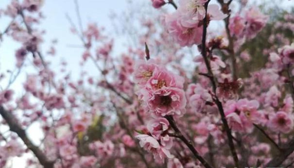 春节散文【2022春节散文】