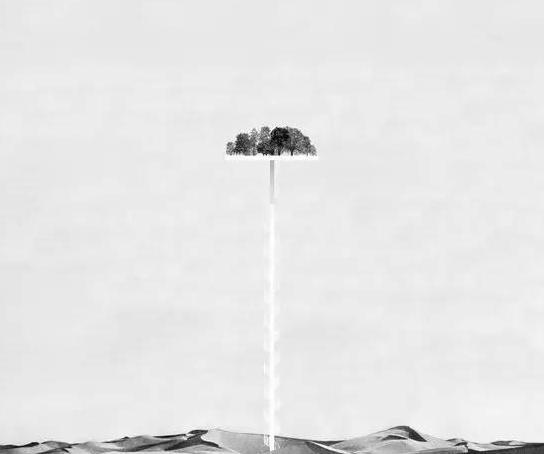 设计师头像【设计师头像图片 艺术】