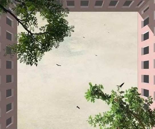 设计师头像【设计师头像图片 艺术】