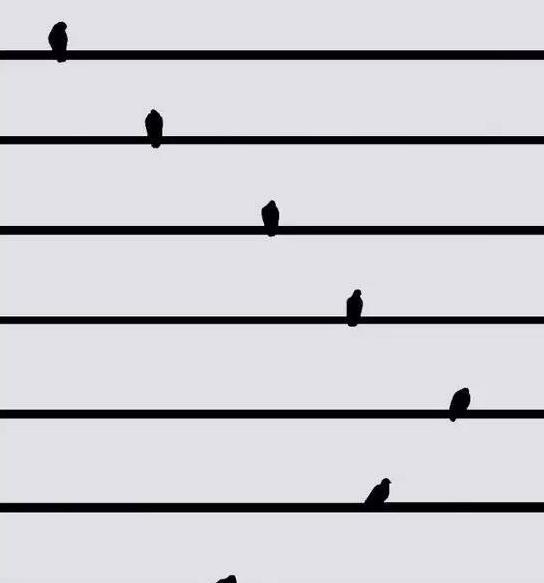 设计师头像【设计师头像图片 艺术】