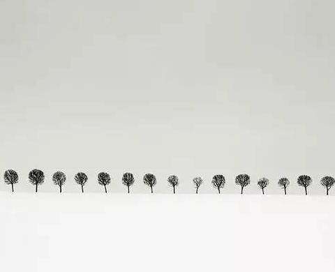 设计师头像【设计师头像图片 艺术】