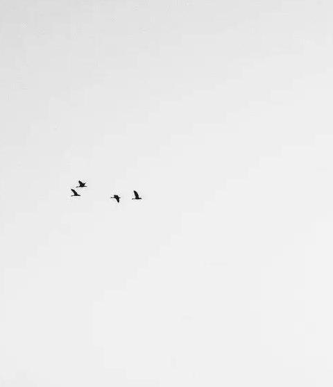 设计师头像【设计师头像图片 艺术】