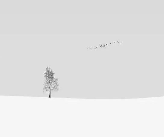 设计师头像【设计师头像图片 艺术】