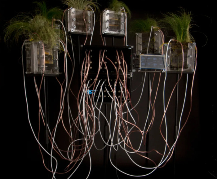 交互设计师工资【交互设计师需要具备的能力】