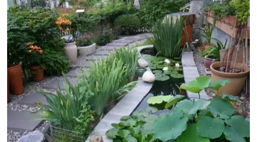 农村家庭庭院景观设计【农村老家庭院景观设计图片】