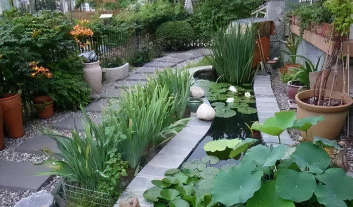 农村家庭庭院景观设计【农村老家庭院景观设计图片】