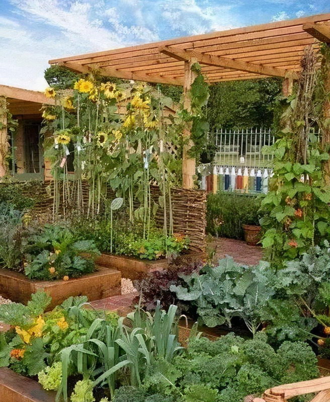 农村家庭庭院景观设计【农村老家庭院景观设计图片】