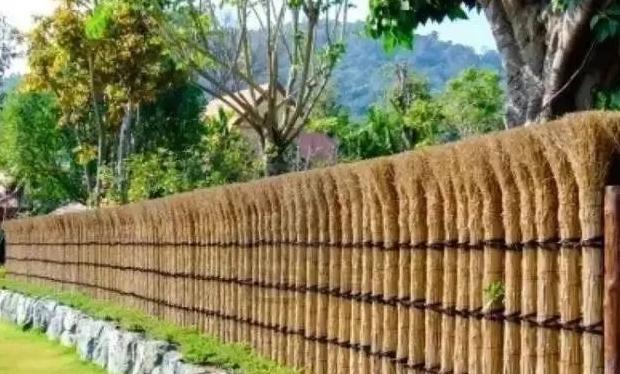 农村家庭庭院景观设计【农村老家庭院景观设计图片】