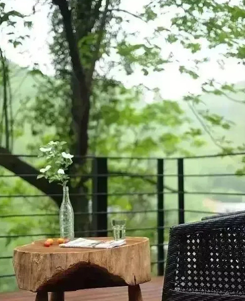 农村家庭庭院景观设计【农村老家庭院景观设计图片】