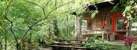 农村家庭庭院景观设计【农村老家庭院景观设计图片】