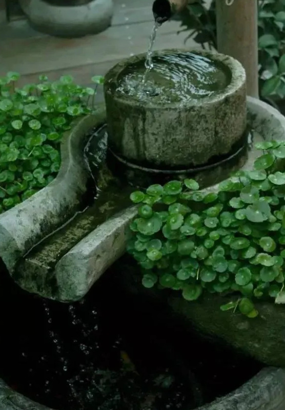 农村家庭庭院景观设计【农村老家庭院景观设计图片】