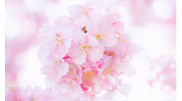 巨蟹男性需求强吗?【巨蟹男占有欲强吗?】