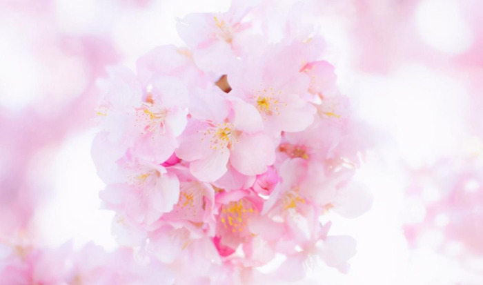 巨蟹男性需求强吗?【巨蟹男占有欲强吗?】