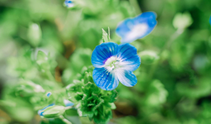 巨蟹男性需求强吗?【巨蟹男占有欲强吗?】