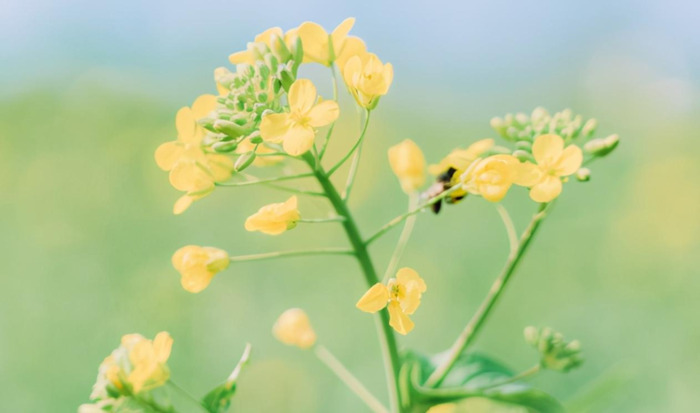 巨蟹男性需求强吗?【巨蟹男占有欲强吗?】