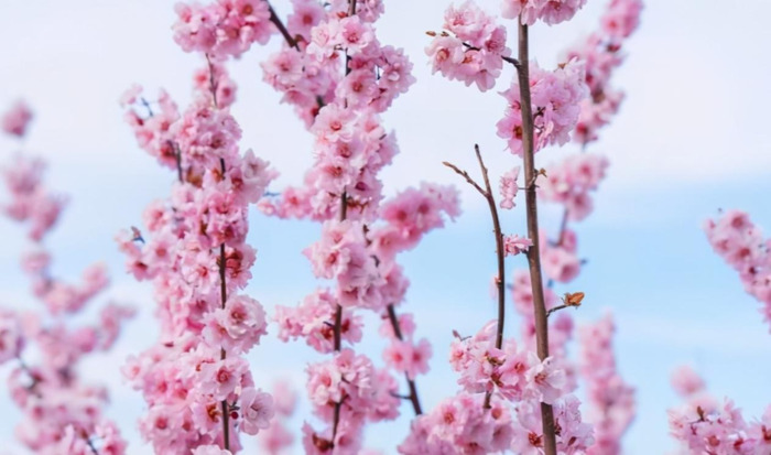 巨蟹男性需求强吗?【巨蟹男占有欲强吗?】