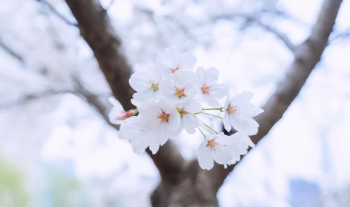 巨蟹男性需求强吗?【巨蟹男占有欲强吗?】