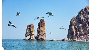 海岛logo图【岛屿logo设计图片】