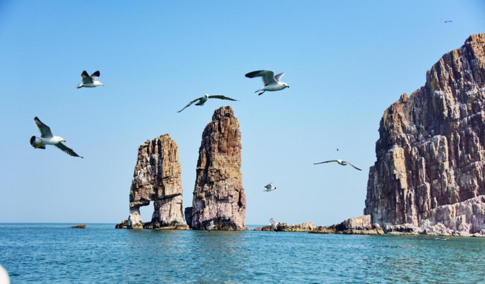 海岛logo图【岛屿logo设计图片】