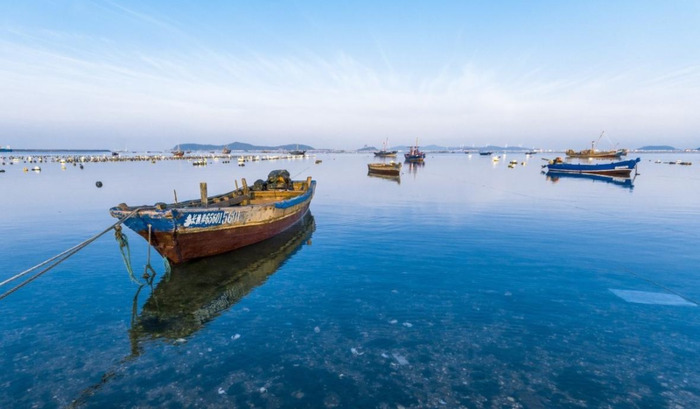 海岛logo图【岛屿logo设计图片】