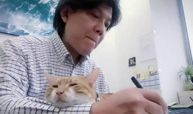 logo免费设计在线生成【logo设计多少钱一个】