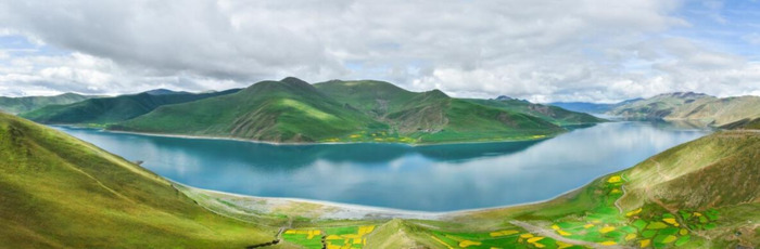 告诉你一棵稗子提心吊胆的春天【告诉你一棵稗子提心吊胆的春天感想】