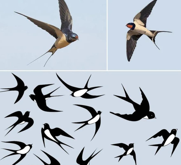 春天简笔画【春天简笔画 儿童画】