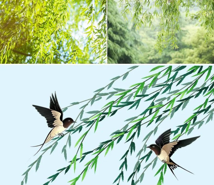 春天简笔画【春天简笔画 儿童画】