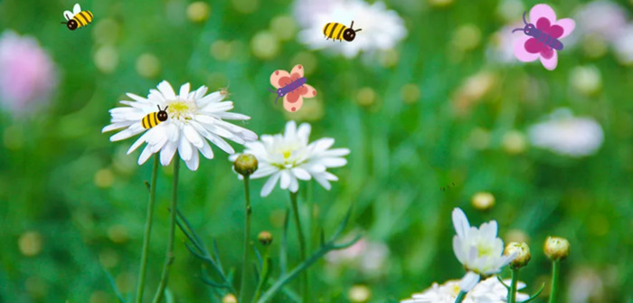 画一画春天的简单图画幼儿园【画一画春天的简单图画小班】