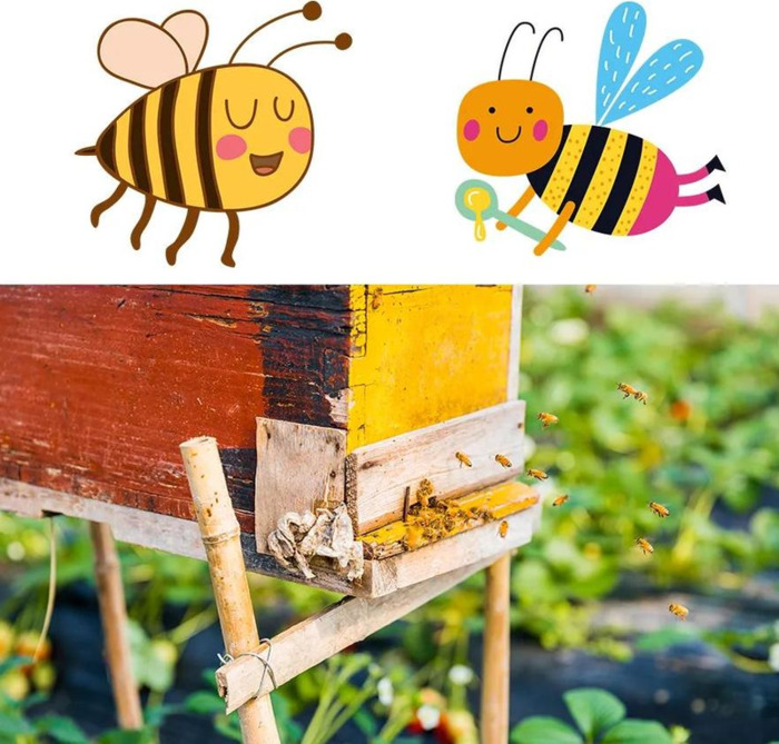 画一画春天的简单图画幼儿园【画一画春天的简单图画小班】