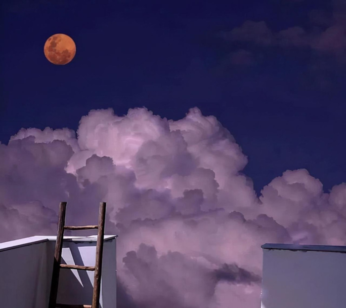 描写青春活力的句子【关于青春活力的唯美句子】