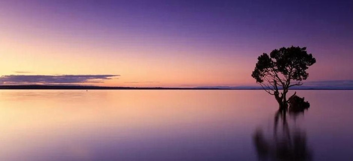 订阅号名称推荐【订阅号名称取什么】