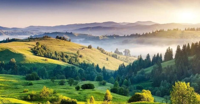 订阅号名称推荐【订阅号名称取什么】