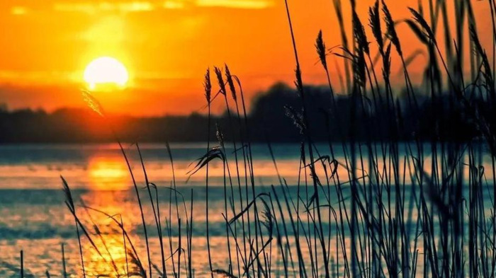 订阅号名称推荐【订阅号名称取什么】