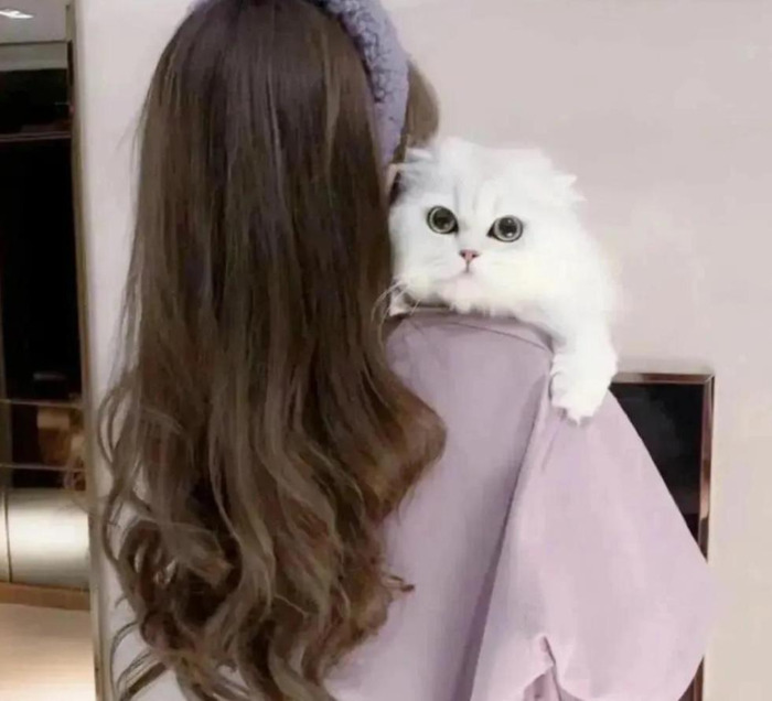 lol情侣网名古风【英雄联盟游戏情侣网名 情侣专用】