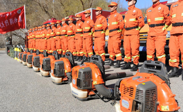 森林防火心得体会50字小学【森林防火感想50字】