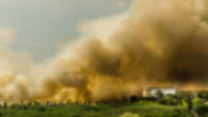 森林防火心得体会50字小学【森林防火感想50字】