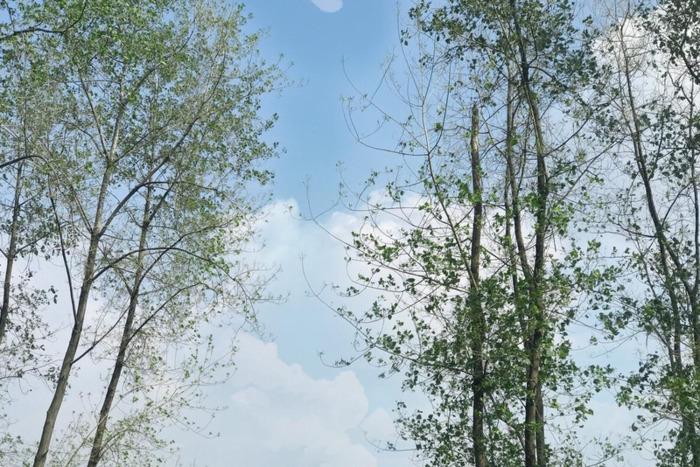 天塌下来当被盖【天塌下来的句子】