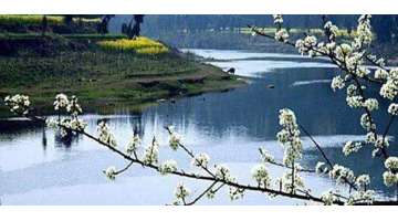 描写煮茶的唯美句子【煮酒对烹茶是哪首诗】