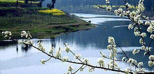 描写煮茶的唯美句子【煮酒对烹茶是哪首诗】