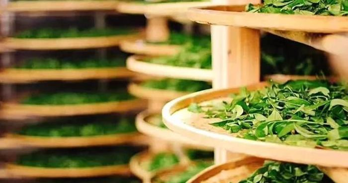 赞美红茶的经典句子【一杯红茶的感悟语句】