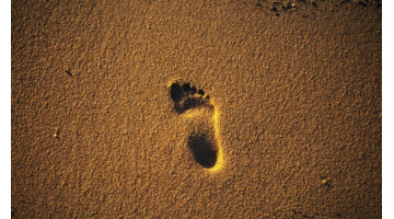 什么的足迹填空词语【形容足迹的词语】