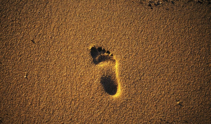 什么的足迹填空词语【形容足迹的词语】