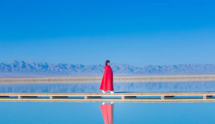 讽刺贪小便宜的人句子