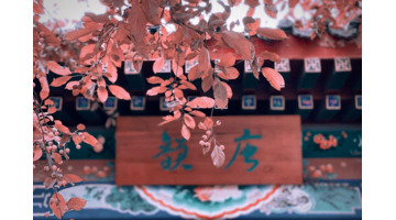 知足常乐的哲理名言和作者【知足常乐哲理句子】